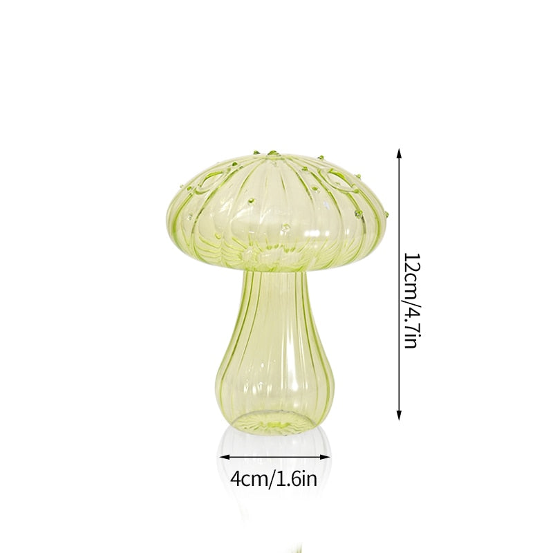 Transparent Glass Vases
