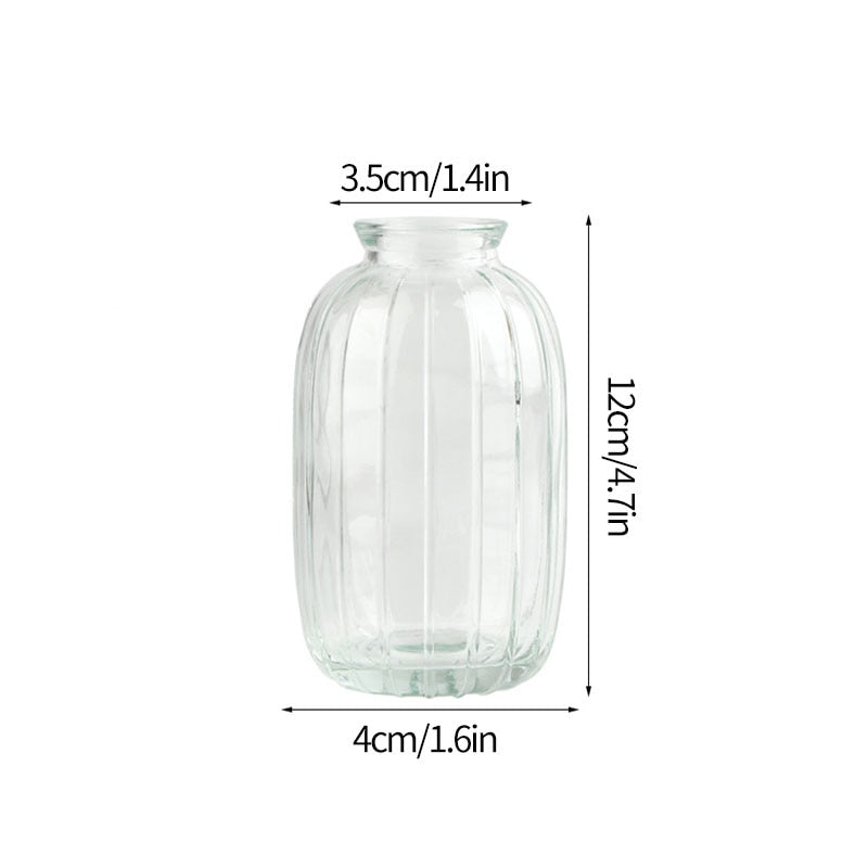 Transparent Glass Vases