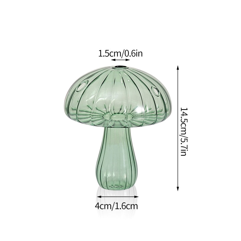 Transparent Glass Vases