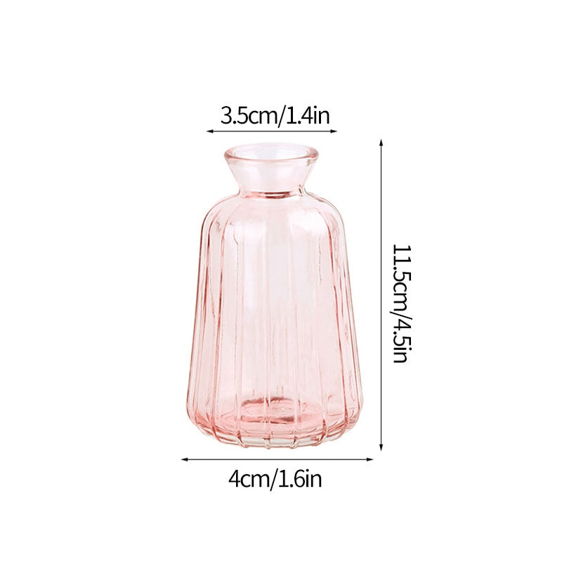Transparent Glass Vases