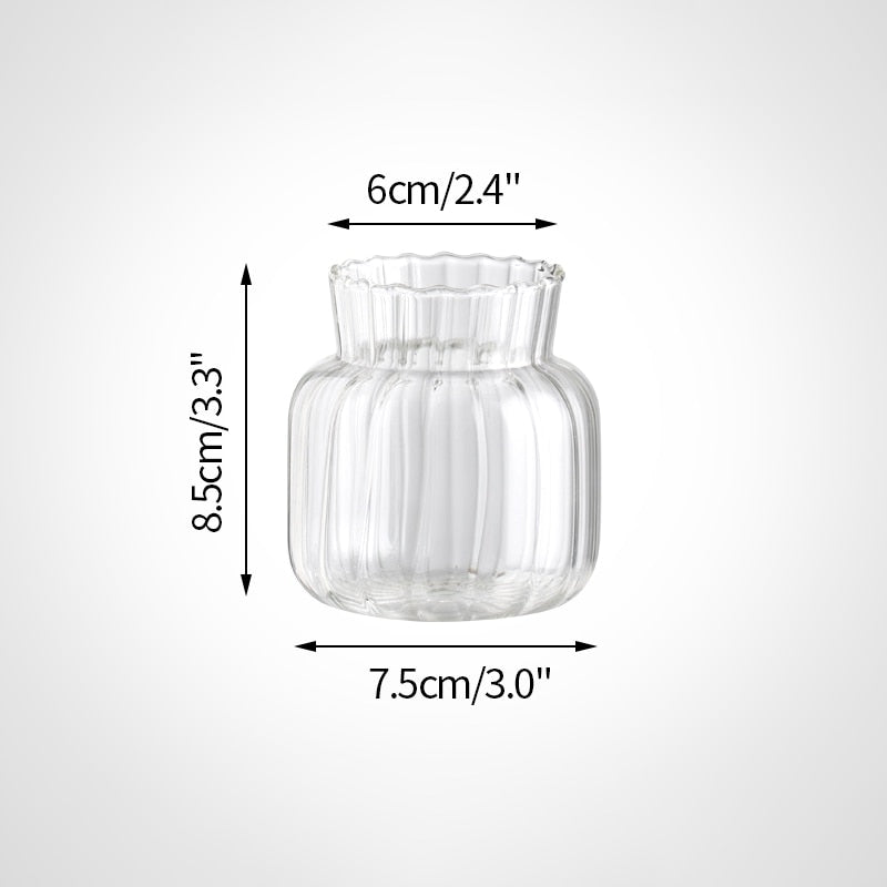 Transparent Glass Vases