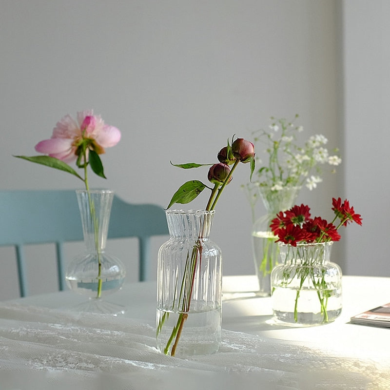 Transparent Glass Vases