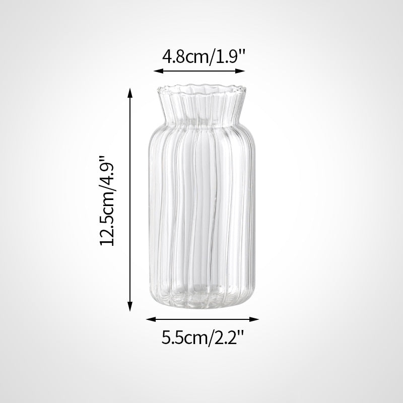 Transparent Glass Vases