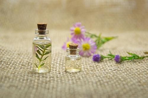 The Ultimate Guide To Essential Oils and Their Health Benefits - Top Boho
