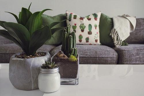 What Is Boho Interior Design? - Top Boho