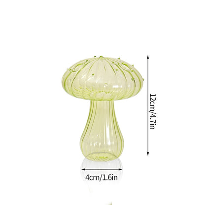 Transparent Glass Vases