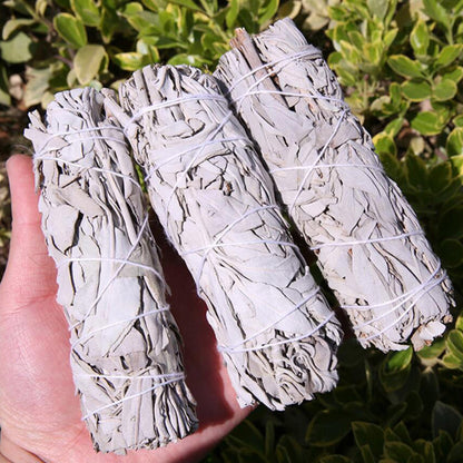 White Sage Smudge Sticks Bundles
