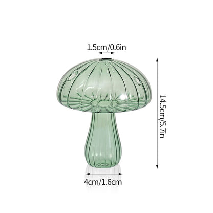 Transparent Glass Vases
