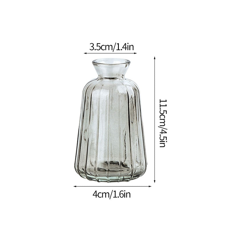 Transparent Glass Vases - Top Boho