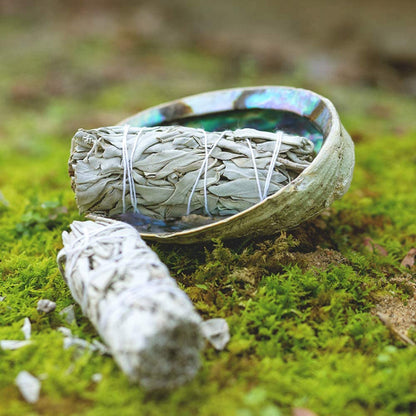 White Sage Smudge Sticks Bundles