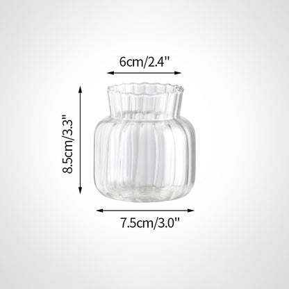 Transparent Glass Vases