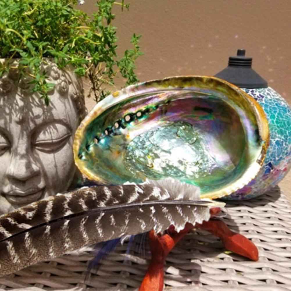 Natural Abalone Shell Decor - Top Boho