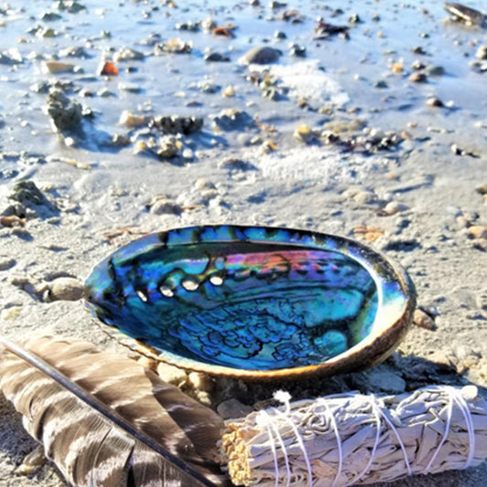 Natural Abalone Shell Decor - Top Boho