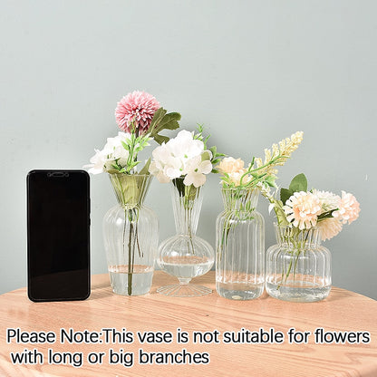 Transparent Glass Vases