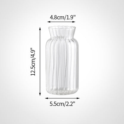 Transparent Glass Vases